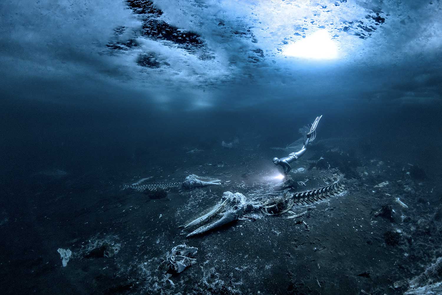 ILO_CinemeFilms_HiddenWorlds ILO_CinemeFilms_HiddenWorlds