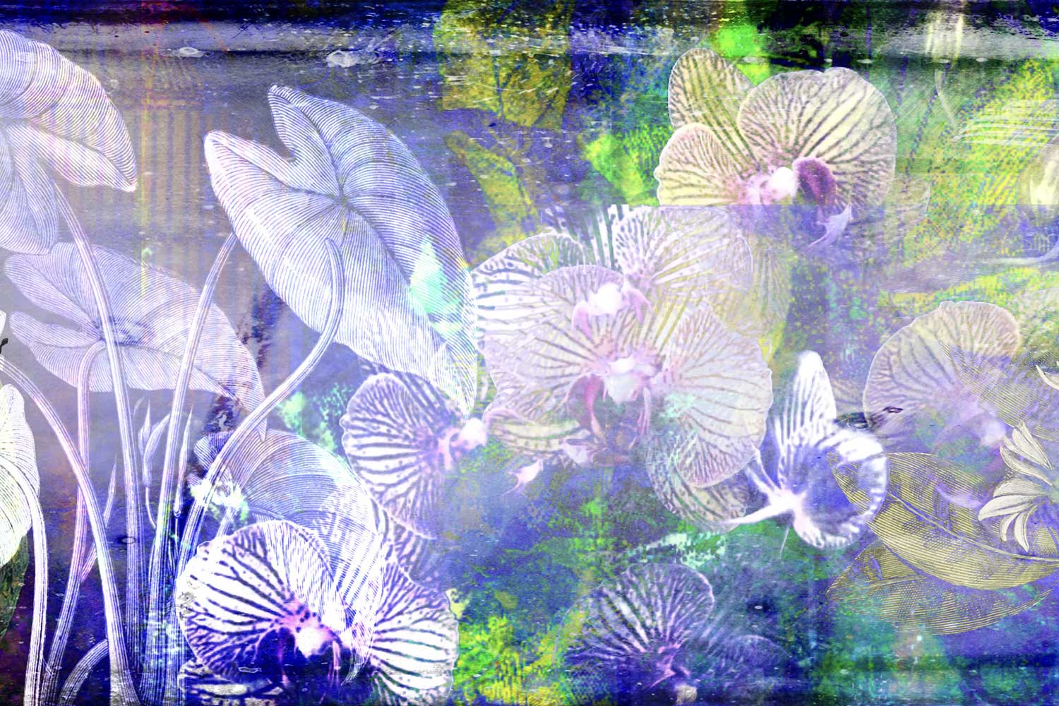 IOL_11_Artwork_Listening_Draft IOL_11_Artwork_Listening_Draft