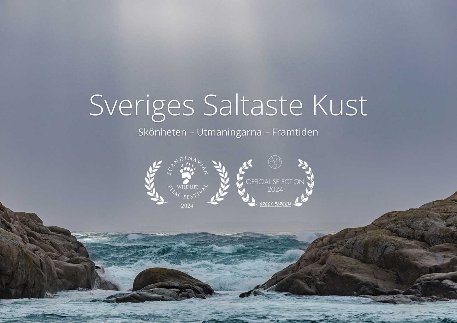 IOL_Cinema_SverigesSaltasteKust