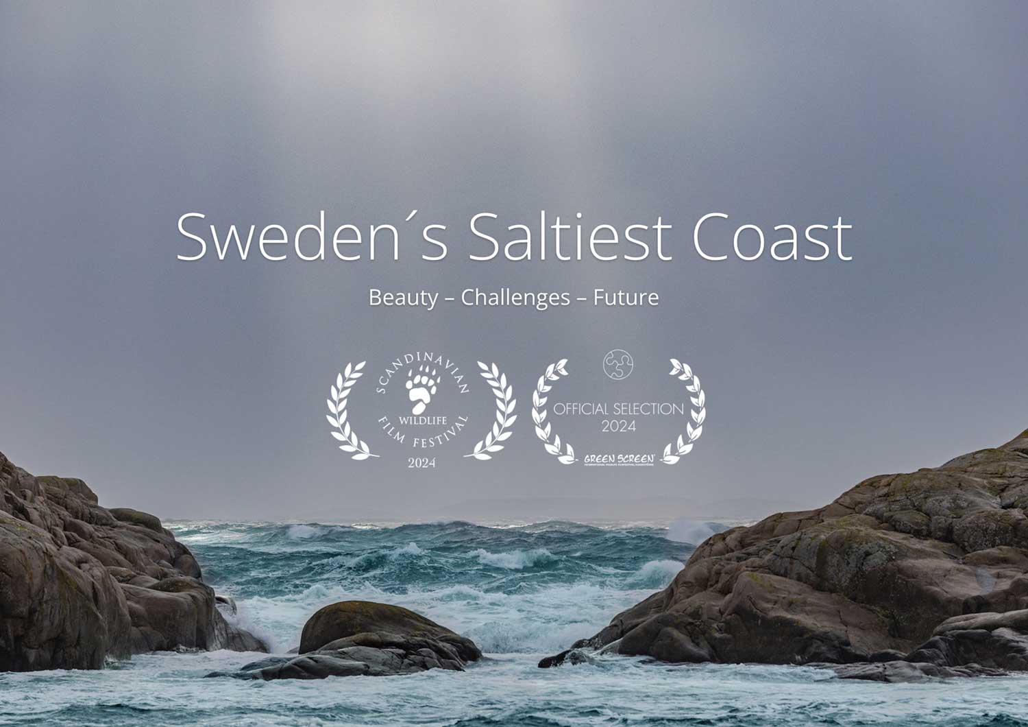 IOL_Cinema_SwedensSaltiestCoast IOL_Cinema_SwedensSaltiestCoast