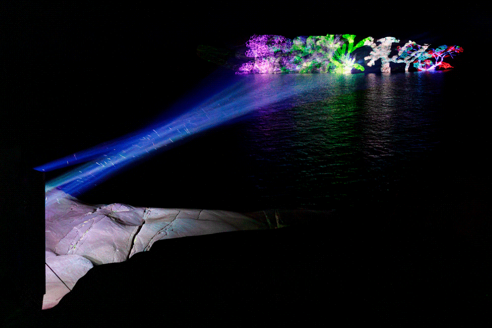Miguel_Chevalier_Living_Plankton_Island_of_light_Thomas_Granovsky9